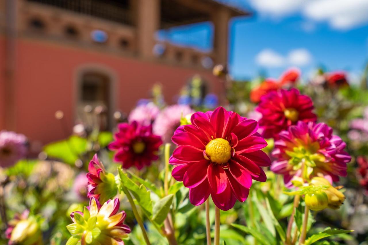 Villa Campomaggio Resort & Spa Radda in Chianti Εξωτερικό φωτογραφία